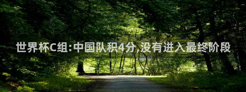 足球世预赛:世界杯C组:中国队积4分,没有进入最终阶段