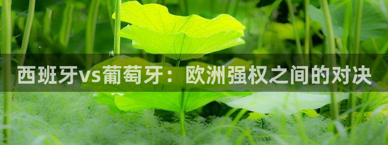 2006年世界杯冠军:西班牙vs葡萄牙:欧洲强权之间的对决