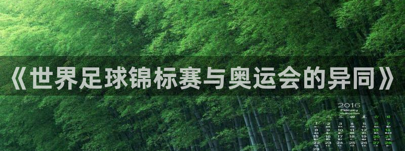 2026足球世界杯赛程:《世界足球锦标赛与奥运会的异同》