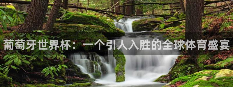 免费足球比赛直播高清:葡萄牙世界杯:一个引人入胜的全球体育盛宴