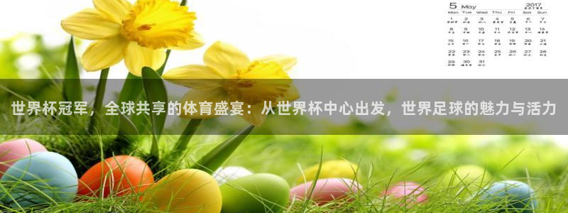 亚洲区世界杯预选赛:世界杯冠军,全球共享的体育盛宴:从世界杯中心出发,世界足球的魅力与活力