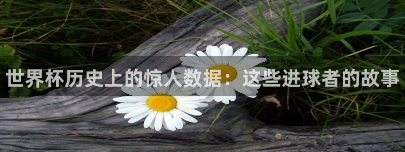 2026世界杯足球赛程时间表:世界杯历史上的惊人数据:这些进球者的故事
