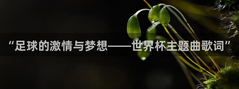 世界杯时间:“足球的激情与梦想——世界杯主题曲歌词”