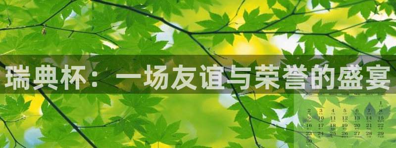 世界杯直播免费观看:瑞典杯:一场友谊与荣誉的盛宴