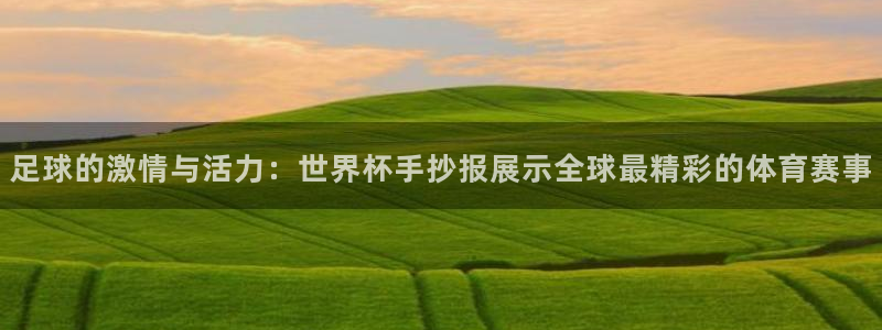 英格兰联赛杯直播:足球的激情与活力:世界杯手抄报展示全球最精彩的体育赛事