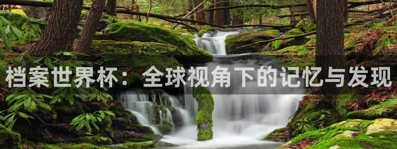 世界杯亚洲区预选赛:档案世界杯:全球视角下的记忆与发现